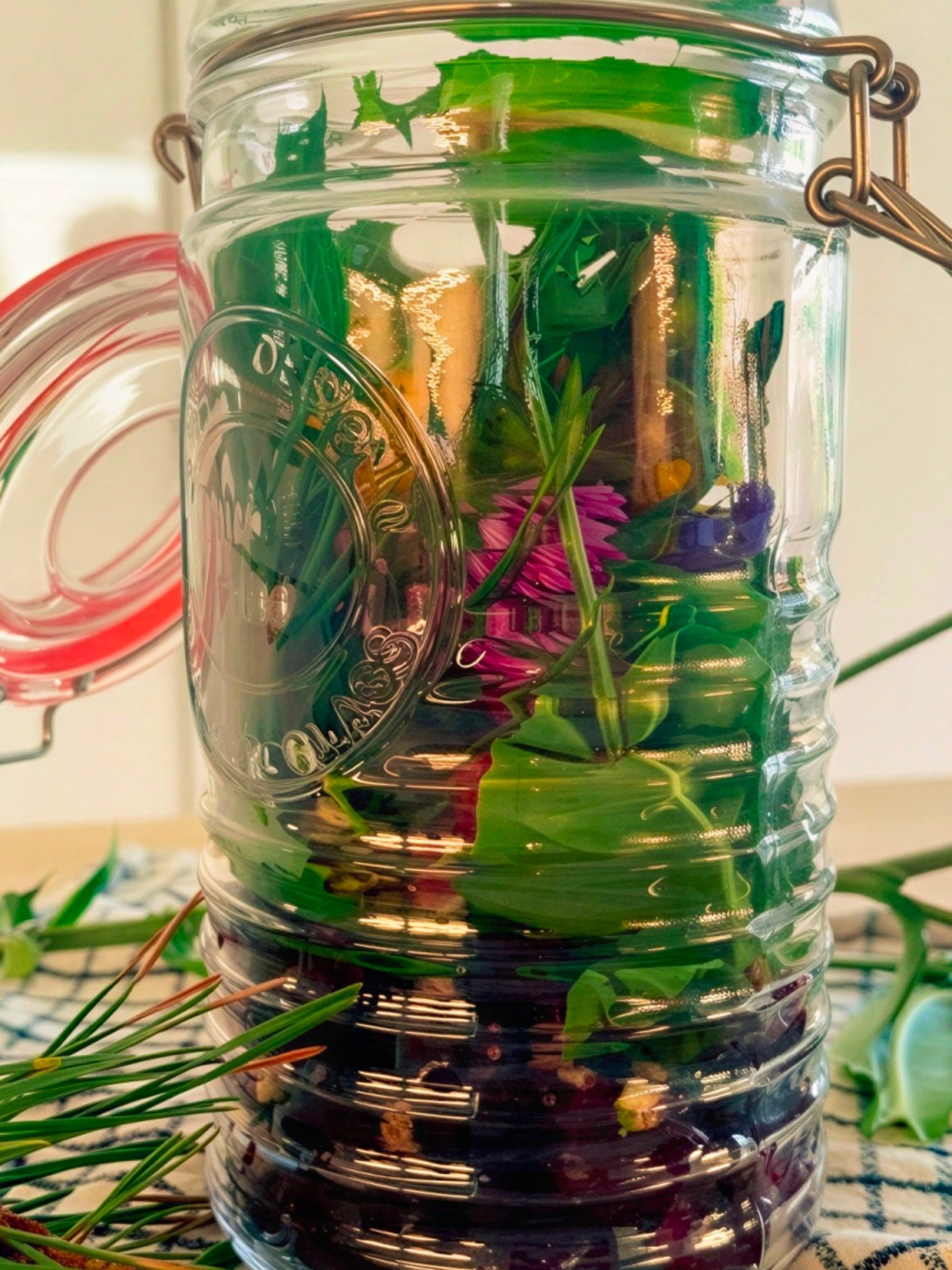 Foraged Summer Amaro: A July Field Experiment in Ottawa