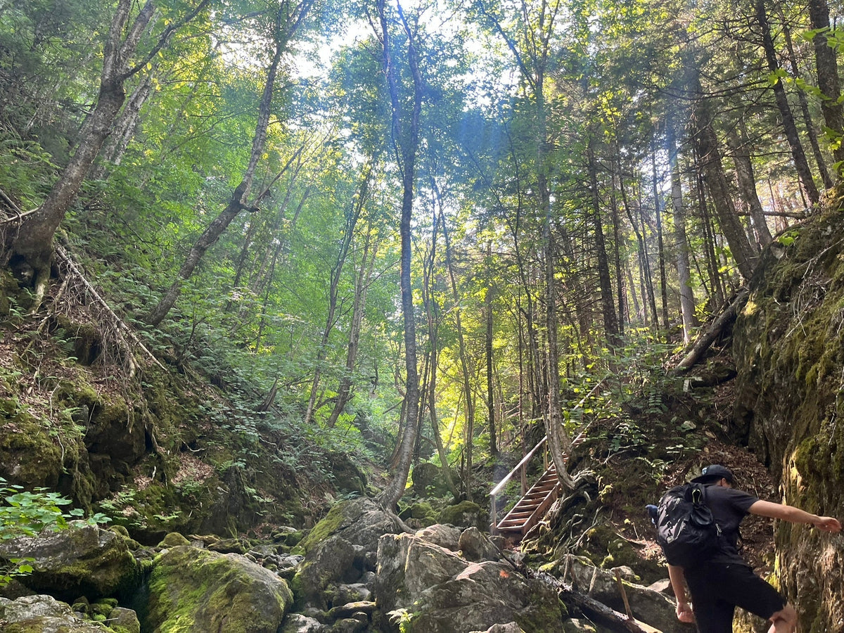 Hiker climbing through a sunlit rocky forest ravine on a Fundy National Park trail.